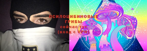 крисы Бугульма