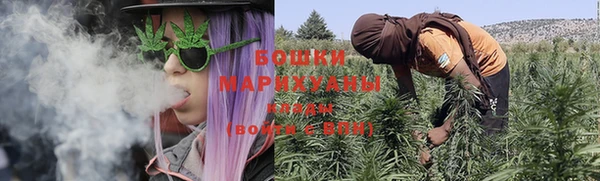 крисы Бугульма