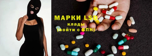 прущие крисы Бородино