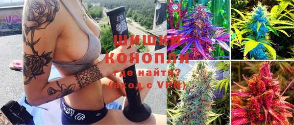 прущие крисы Бородино