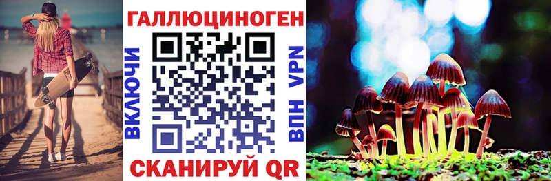 Галлюциногенные грибы MAGIC MUSHROOMS купить цена Гдов