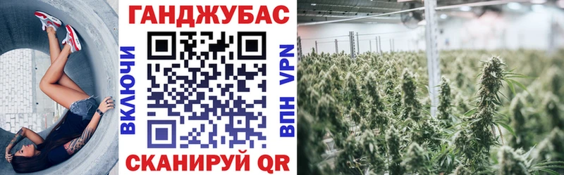 даркнет сайт  Гдов  Марихуана тримм 